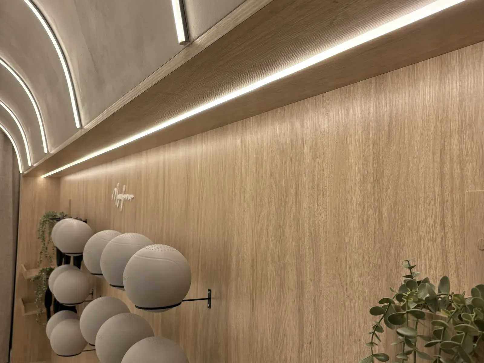 Vision Bleu permanent LED lighting in a fitness studio — view 13
