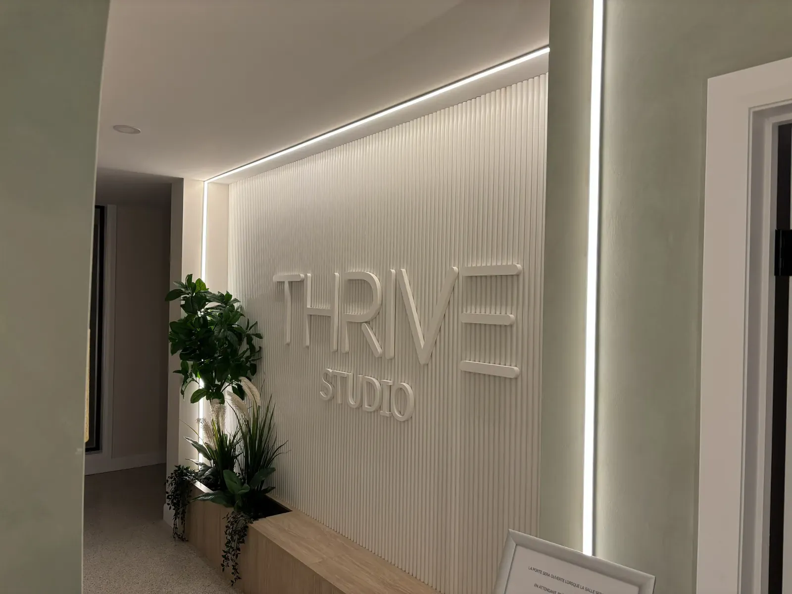 Vision Bleu permanent LED lighting in a fitness studio — view 15