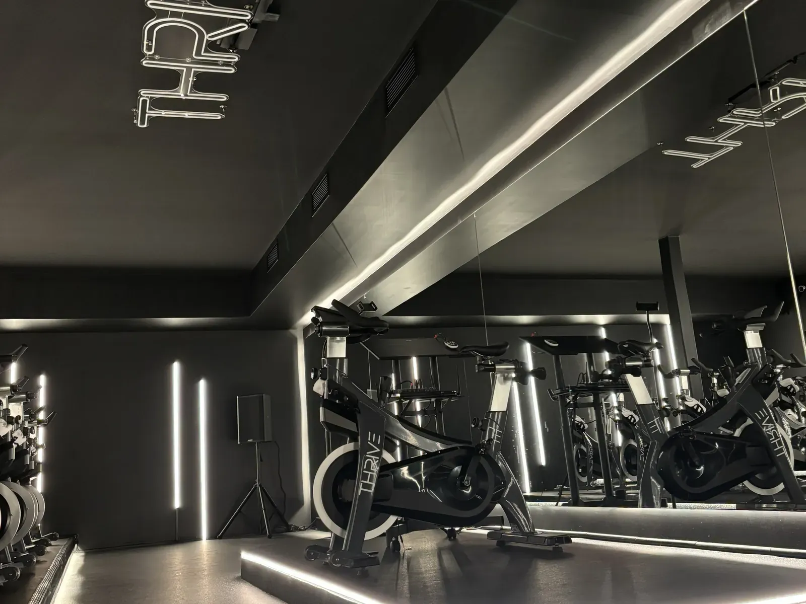 Vision Bleu permanent LED lighting in a fitness studio — view 8