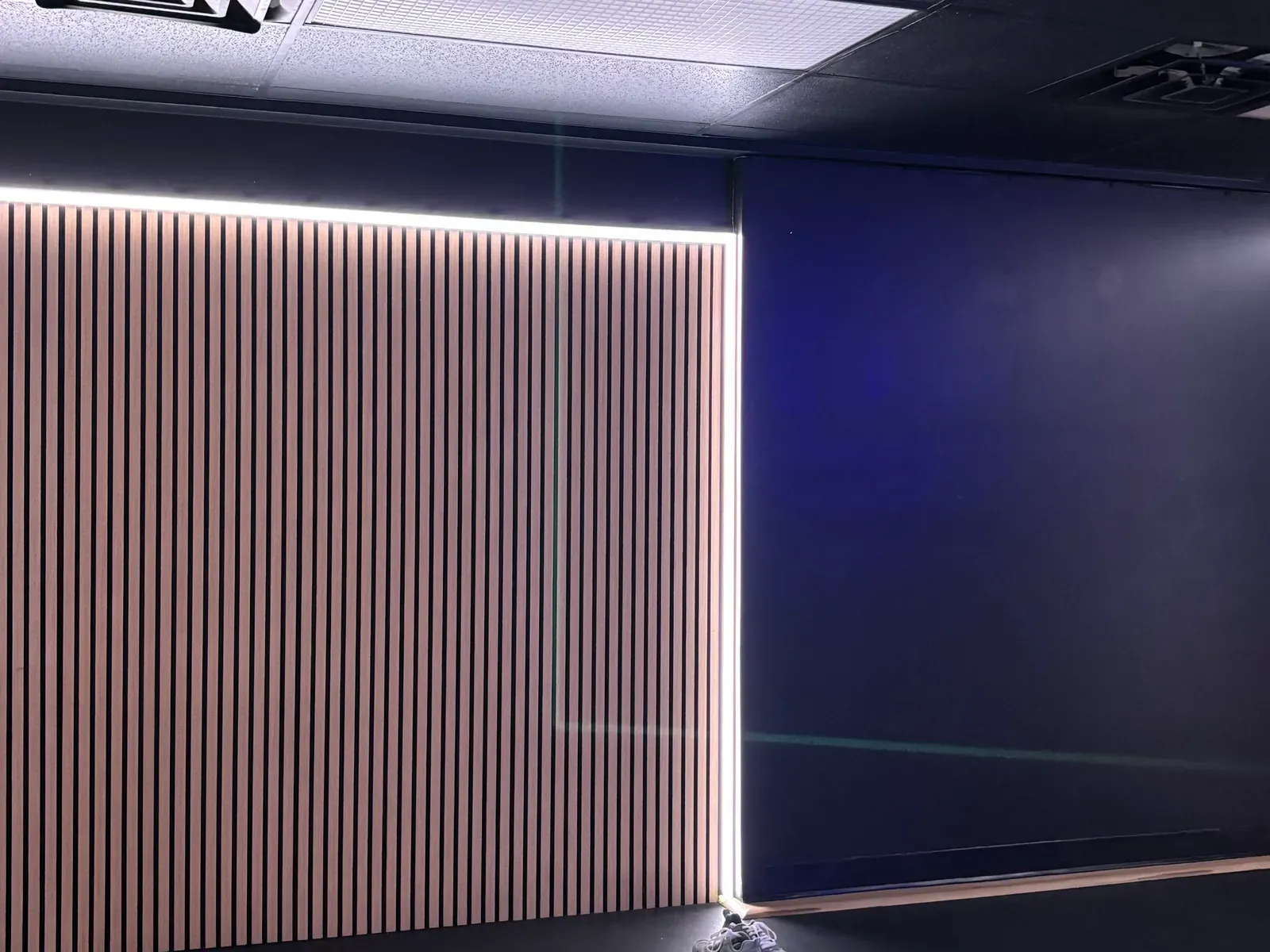 Vision Bleu permanent LED lighting in a gym — view 3