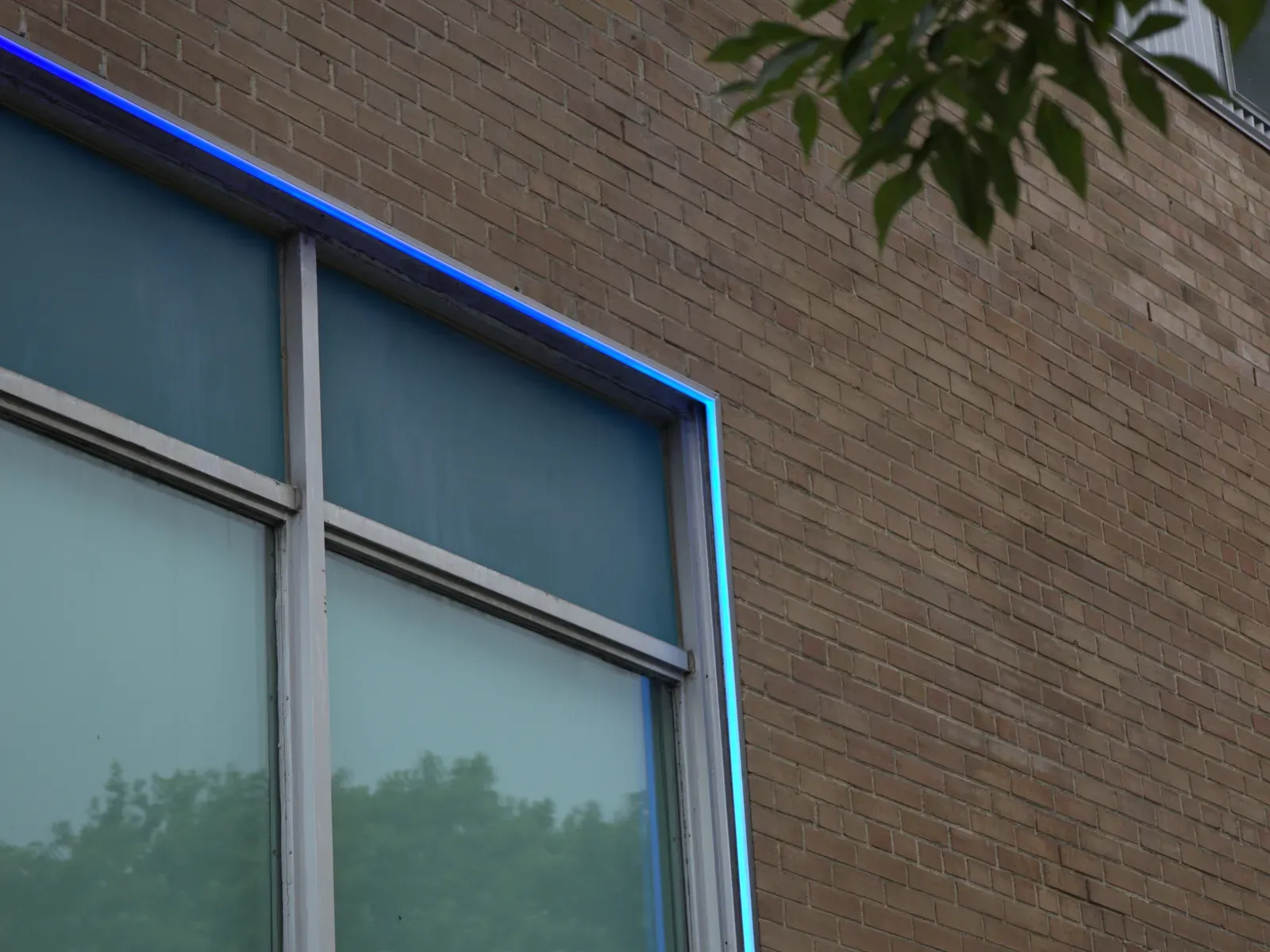 Vision Bleu permanent LED lighting on a café storefront — view 4