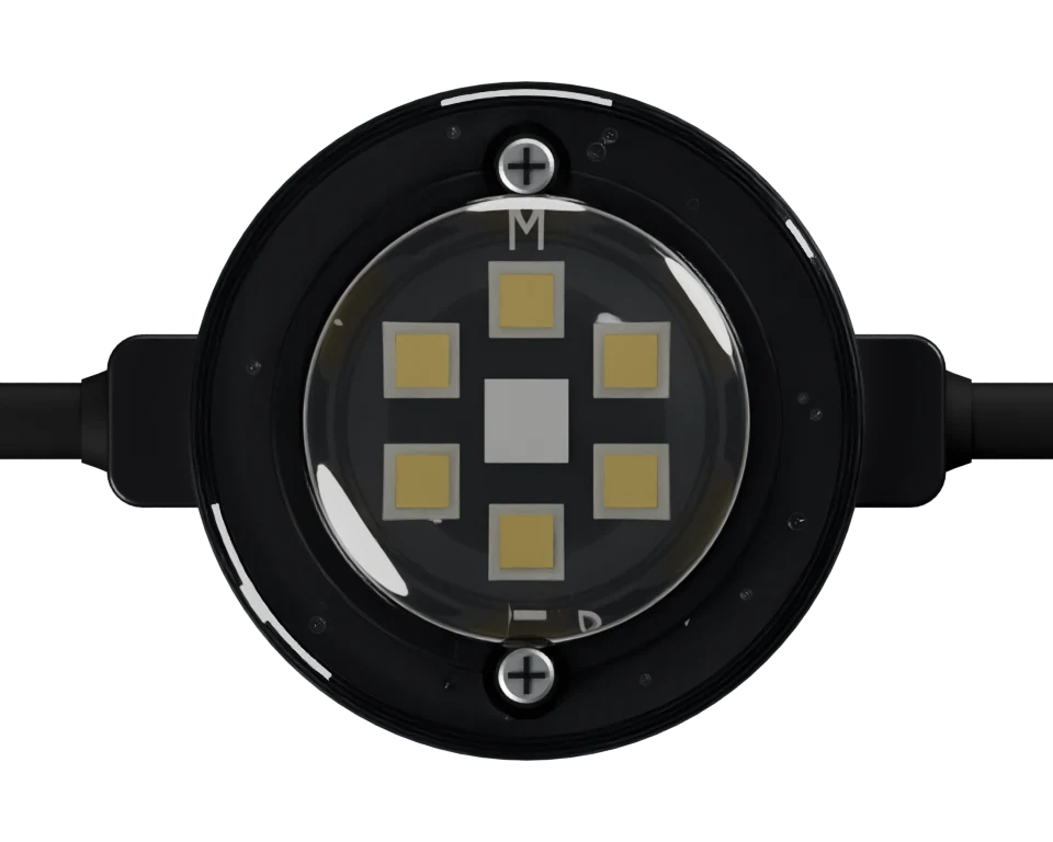 Straight-on view of the light: clear lens and visible LED chips.