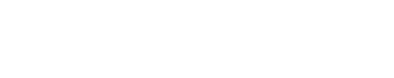 B12 Burger
